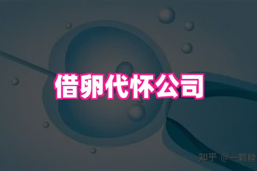 武汉助孕网站 1