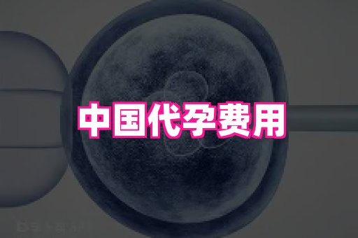 武汉助孕网站 2